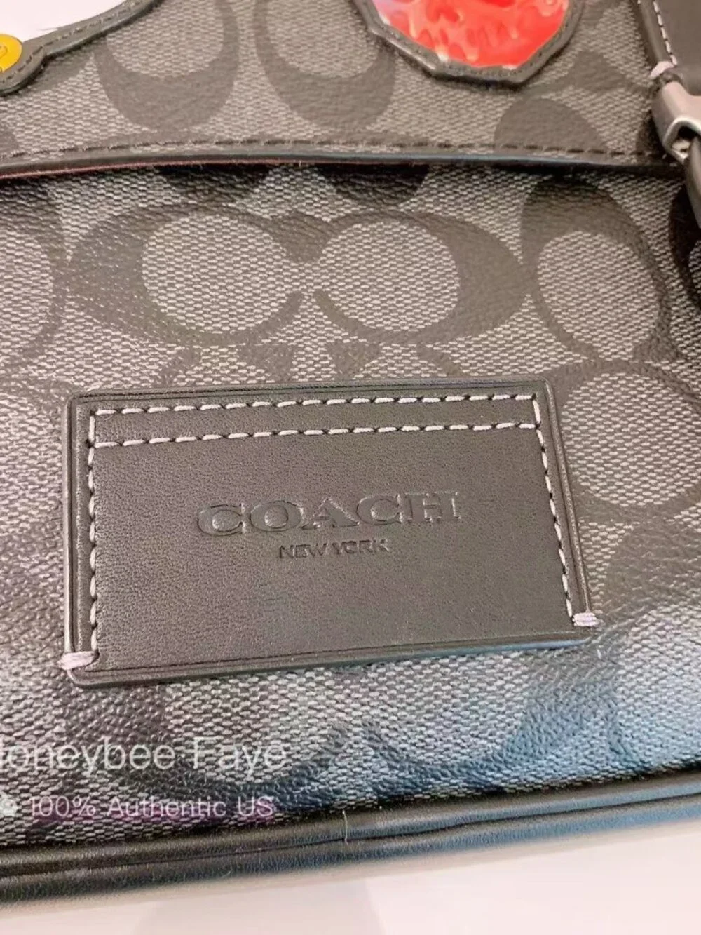 Coach nwt disney